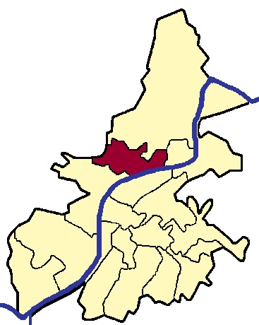 Biewer